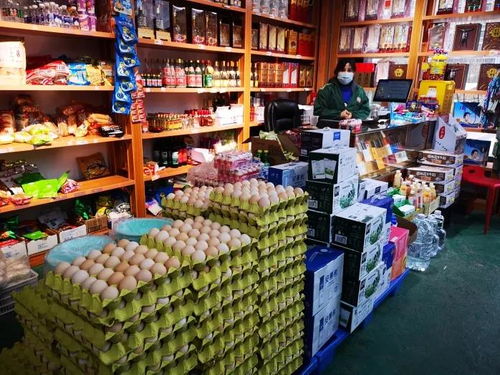 雁塔区启动“三保”行动，全力保障食用农产品批发供应稳定