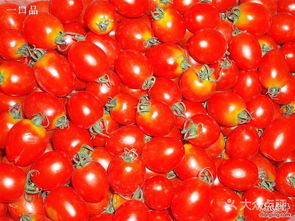 布吉农产品批发市场 粤港澳大湾区“菜篮子”的鲜活脉搏