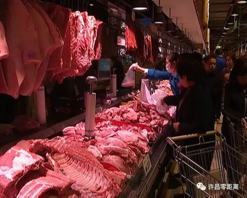 许昌市为禽畜产品配备“身份证”，开启食用农产品追溯新时代