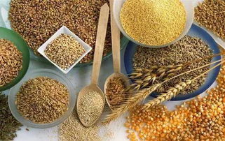 新年伊始，食用农产品批发价格小幅回落，市场平稳开局