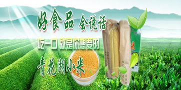 中国农产品批发网 食用农产品批发的数字化新篇章
