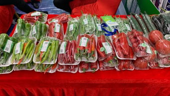 汇聚产业力量，打通产销对接新通路——农创圈亮相第二届国家农安县农产品产销对接活动